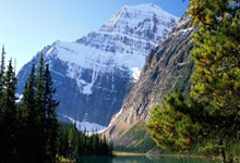 申花的板凳席上还有高手？艾迪被斯卢茨基委以重任.